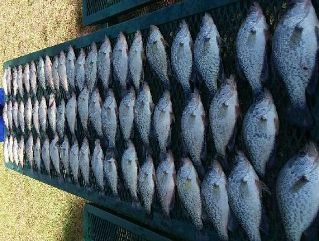 Lake Eufaula crappie fishing