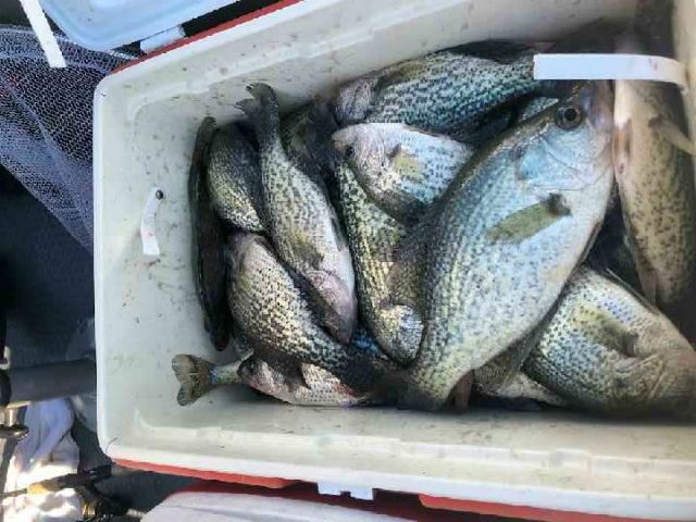 Lake Eufaula Crappie Fishing