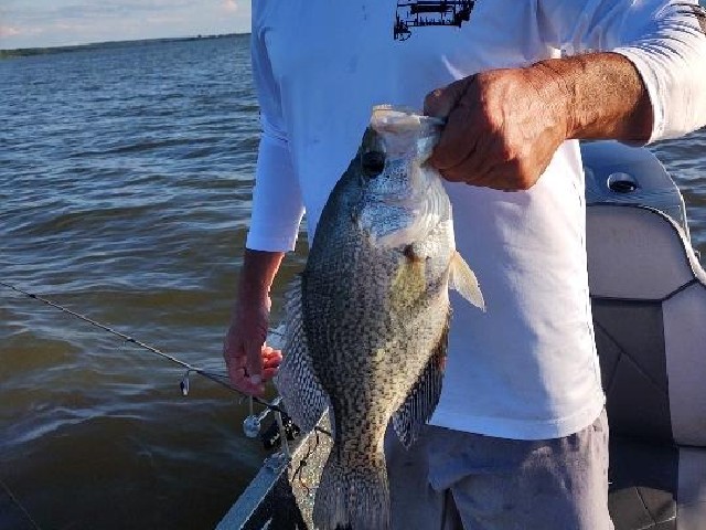 Lake Eufaula Crappie Fishing
