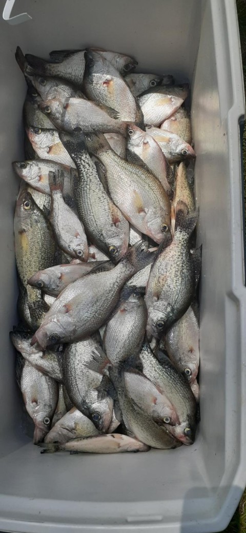 Lake Eufaula Crappie Fishing