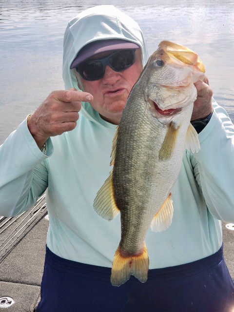 Bass Fishing in Lake Eufaula