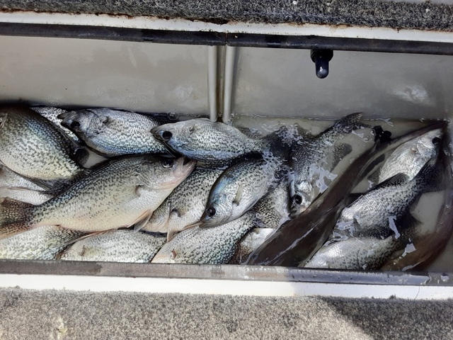 lake Eufaula Crappie Fishing