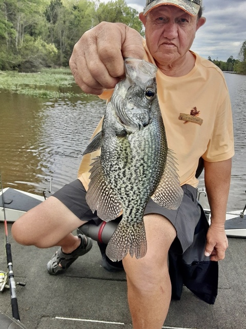 Lake Eufaula Crappie fishing