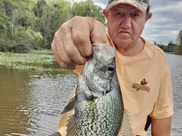 Lake Eufaula Crappie fishing