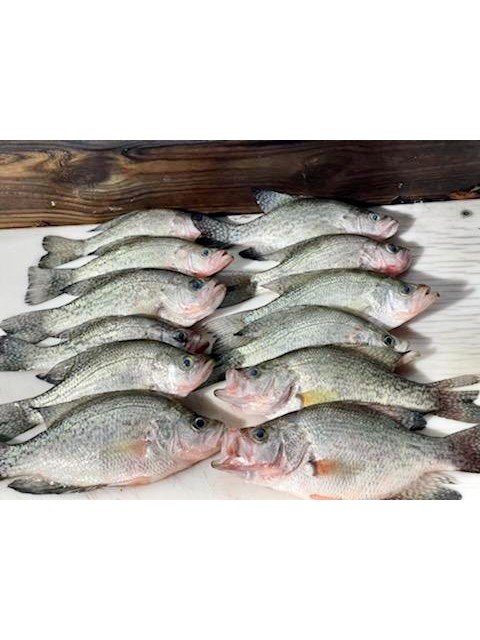 Lake Eufaula Crappie fishing