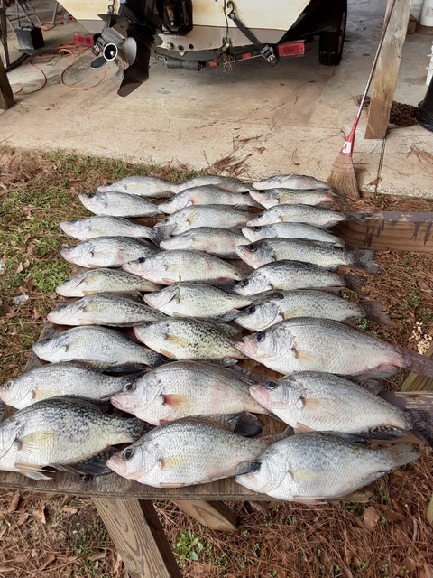 Lake Eufaula Crappie fishing