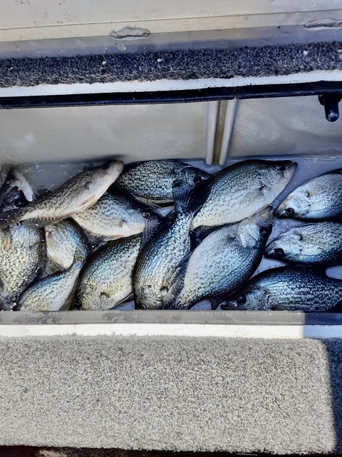 Lake Eufaula Crappie fishing