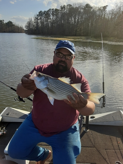 Lake Eufaula Crappie fishing