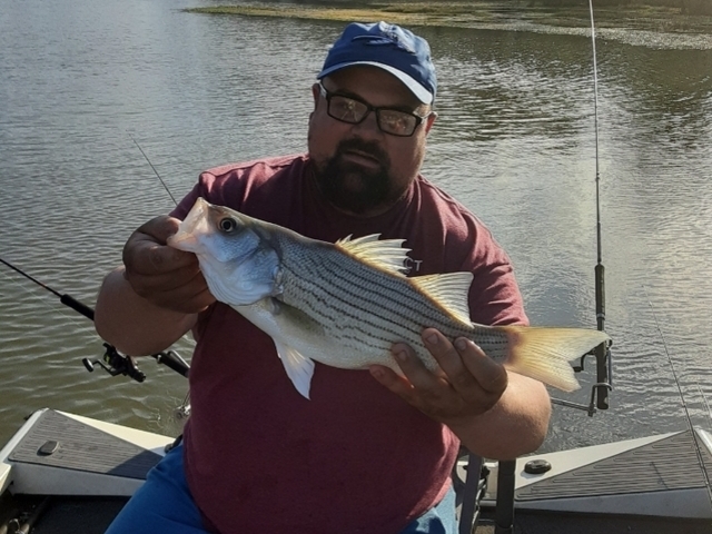 Lake Eufaula Crappie fishing