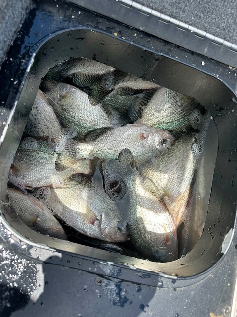 Lake Eufaula Crappie fishing