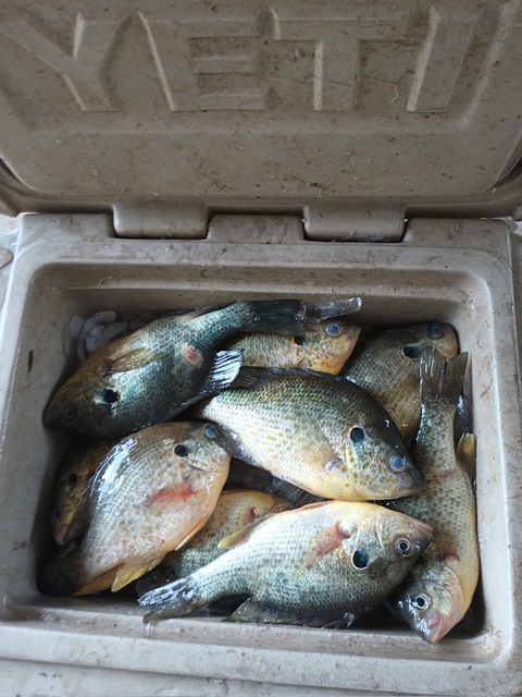 Lake Eufaula Crappie Fishing