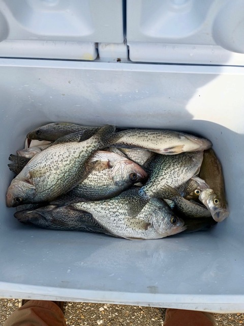 Lake Eufaula Crappie fishing