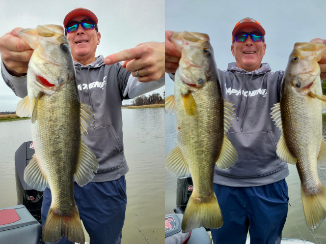 Lake Eufaula Bass fishing