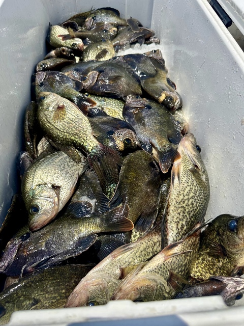 Lake Eufaula Crappie fishing