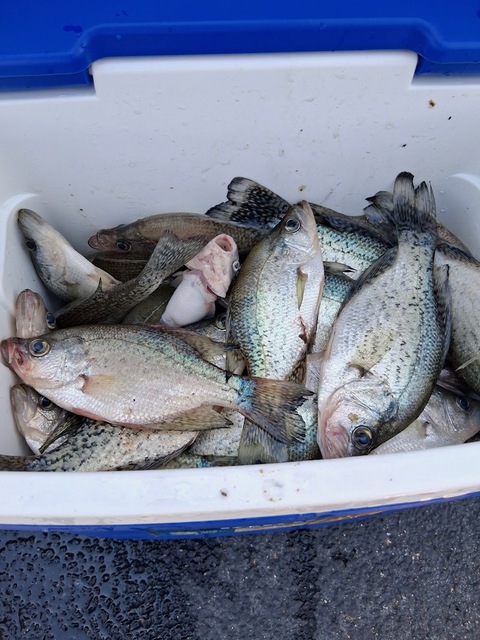 Lake Eufaula Crappie fishing