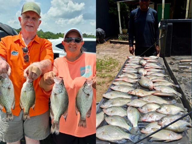 Lake Eufaula Crappie fishing