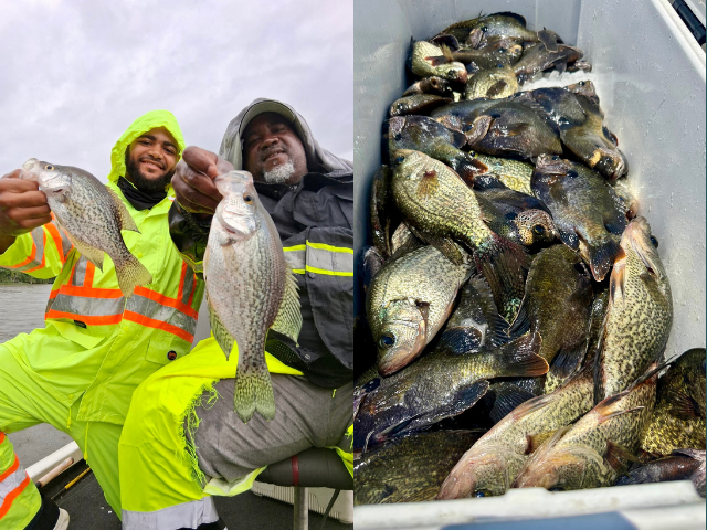 Hire a Fishing Guide