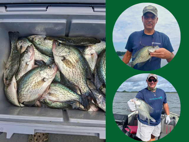 Lake Eufaula Crappie fishing
