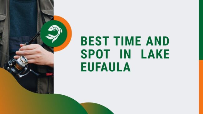 Best Time and Spot in Lake Eufaula