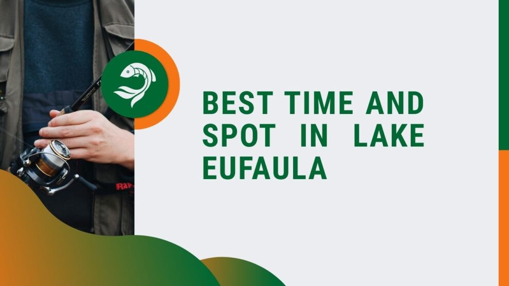 Best Time and Spot in Lake Eufaula