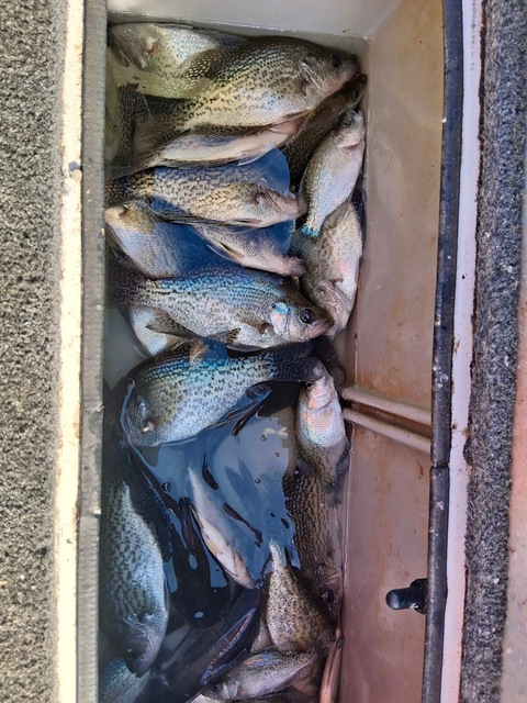 lake eufaula crappie fishing