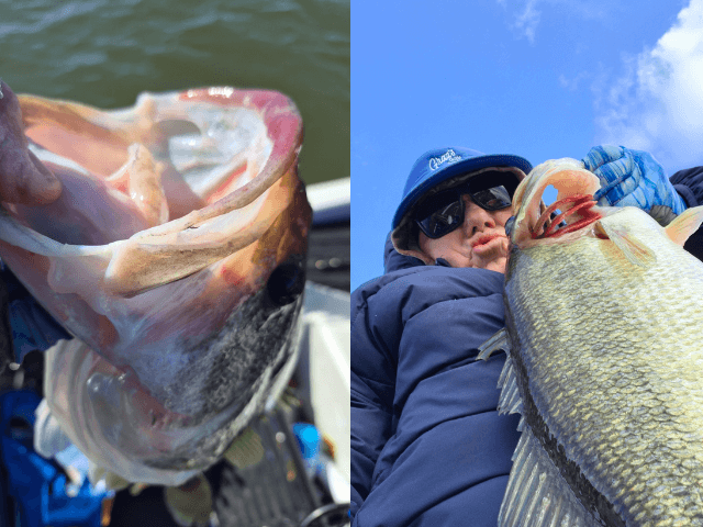 Lake Eufaula Bass fishing