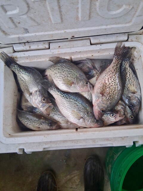 Lake Eufaula Crappie fishing