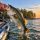 Target Trophy Bass in Lake Eufaula